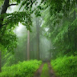 Meet your Posher, Janina